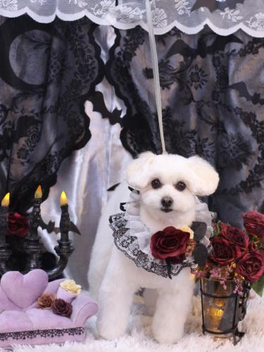 20231028うみちゃん